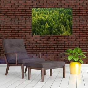 Tablou - Pădure deasă (90x60 cm)