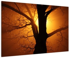 Tablou cu copac în apus de soare (90x60 cm)
