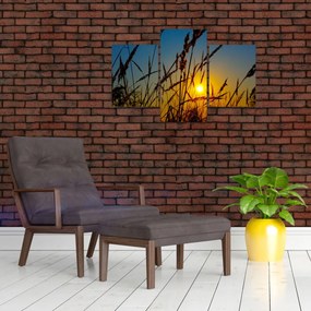 Tablou - Apus de soare pe pajiște (90x60 cm)