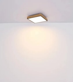 Globo 416080WD2-CCT - Plafonieră LED dimabilă DORO 24W/230V 3000-6500K 45x45 cm