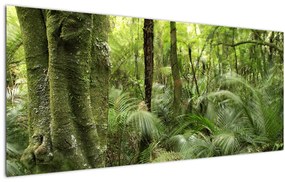 Tablou - Pădure tropicală (120x50 cm)