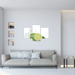Tablou - Lămâi suculente (90x60 cm)