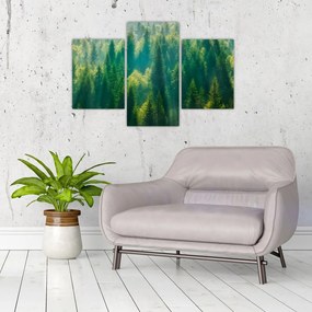 Tablou - Pădurea de brazi (90x60 cm)