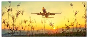 Tablou cu avion zburând (120x50 cm)