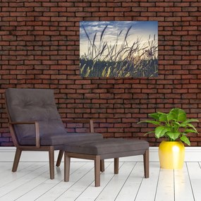 Tablou pe sticlă cu flori de câmp (70x50 cm)