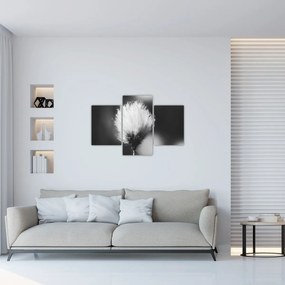 Tablou - Coțofană neagră și albă (90x60 cm)