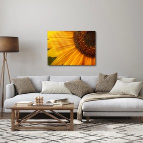 Tablou - Floarea-soarelui (70x50 cm)