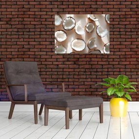 Tablou - Nuci de cocos (70x50 cm)