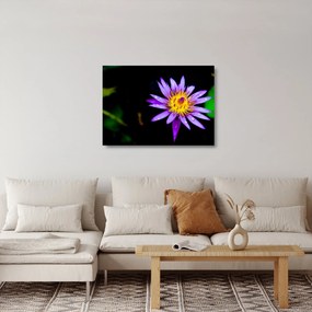 Tablou pe sticlă cu floare (70x50 cm)