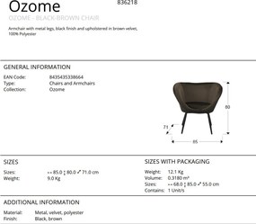 Fotoliu/Scaun design modern Ozome