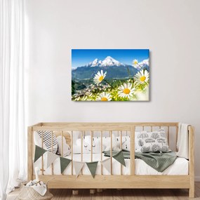 Tablou - Primăvara în Alpi (90x60 cm)
