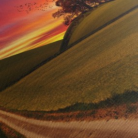 Tablou câmpului cu apus de soare (cu ceas) (90x30 cm)