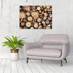 Tablou pe sticlă - Lemn în zăpadă (70x50 cm)