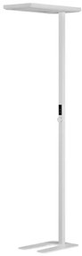 Lampadar, Lampa de podea LED cu senzor de lumina BIOLIGHT NVL-9416978