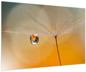 Tablou - Flori macro (90x60 cm)