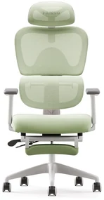Scaun ergonomic MUSSO E600SE ADAPTIVE, șezut translatabil, cotiere 3D, suport lombar adaptiv, suport picioare, mecanism multifunctional inclinare/blocare, pivotant, Mesh, Verde