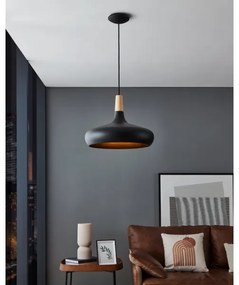 Lustră pe cablu SABINAR 1xE27/40W/230V d. 40 cm Eglo 900163