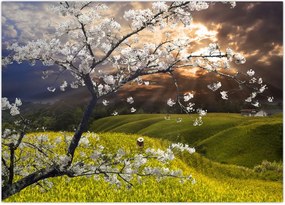 Tablou - Peisaj cu pomul înflorit (70x50 cm)