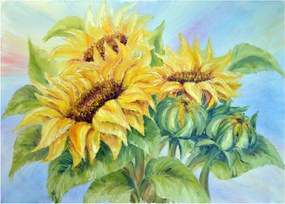 Tablou pe sticlă - Floarea soarelui înflorită (70x50 cm)