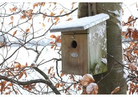 Căsuță pentru păsări din lemn – Esschert Design