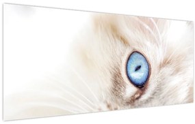 Tablou - Pisicuță (120x50 cm)