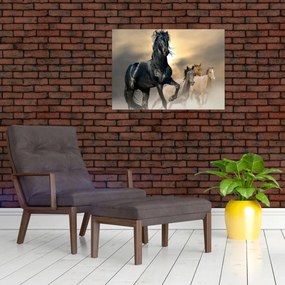 Tablou - Cai (70x50 cm)