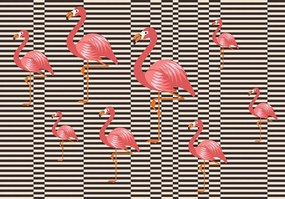 Fototapet - Flamingo (254x184 cm)