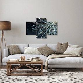 Tablou - Floare cu pânză de pâianjen (90x60 cm)