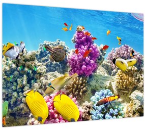 Tablou - Lumea mării (70x50 cm)