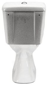 Toaletă monobloc Cleano cu evacuare inferioară și scaun