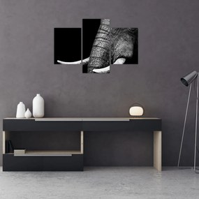 Tablou - Colți de elefant (90x60 cm)