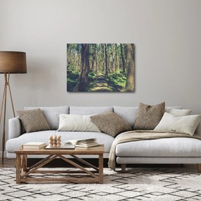Tablou cu drum între copaci (70x50 cm)