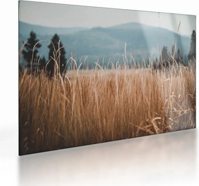 Tablou pe sticlă - detaliu spațiului de luncă (70x50 cm)