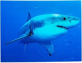 Tablou decorativ imagine imprimata pe sticla, Shark 60x80cm A-37414 VC