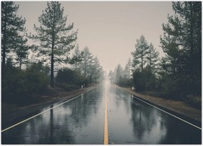 Tablou - Drum în ploaie (70x50 cm)