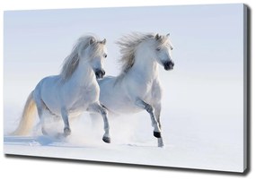 Print pe canvas Doi cai în zăpadă