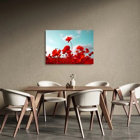 Tablou pe sticlă - Câmp cu flori roșu deschis (70x50 cm)