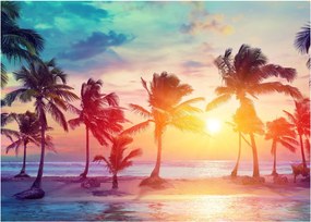 Tablou - Apus de soare tropical (70x50 cm)
