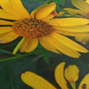 Tablou cu flori galbene (120x50 cm)