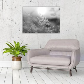 Tablou pe sticlă - Pajiște de toamnă (70x50 cm)