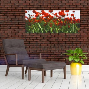 Tablou - Maci în vânt (120x50 cm)