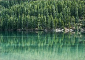 Tablou pe sticlă - Coniferi lângă lac (70x50 cm)