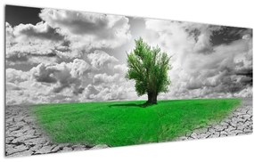 Tablou - O bucată de natură în oraș (120x50 cm)