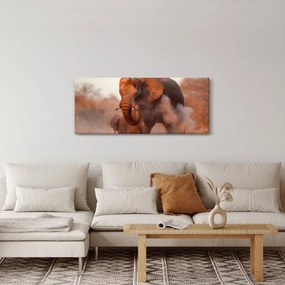 Tablou - Marele elefant african (120x50 cm)