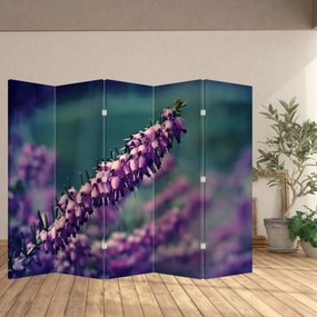 Paravan - Lavanda (210x170 cm)