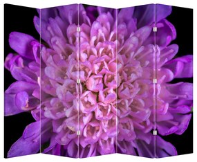Paravan - Floare detailat (210x170 cm)