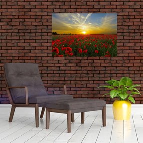 Tablou cu câmp cu maci (90x60 cm)