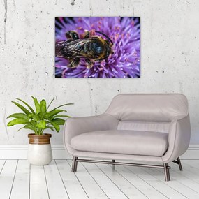Tablou pe sticlă cu albina pe floare (70x50 cm)