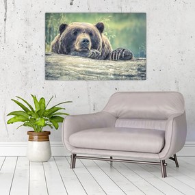 Tablou cu urs (90x60 cm)