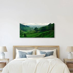 Tablou Plantații de ceai - Malaezia (120x50 cm)